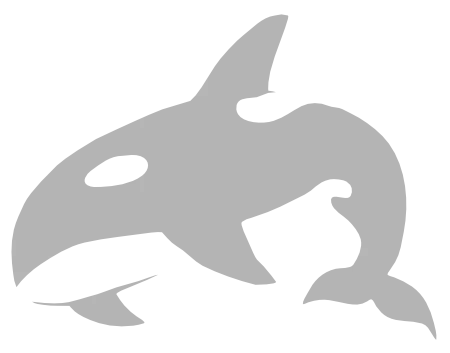 Orca Web Works Logo